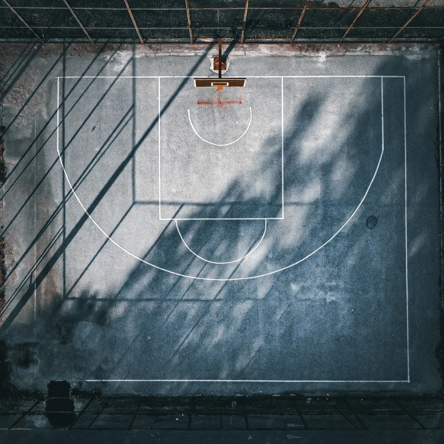 Illustrative image for Basketball Collector Selection