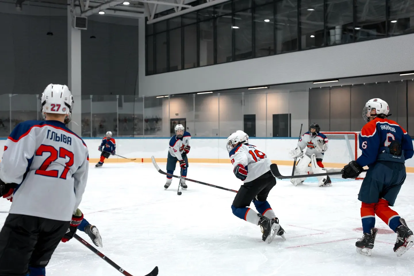 Illustrative image for Hockey Collector Selection